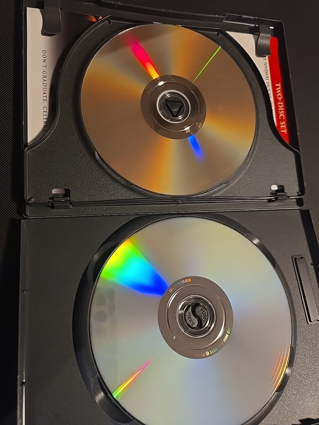 National Lampoon's Van Wilder (DVD, 2002)