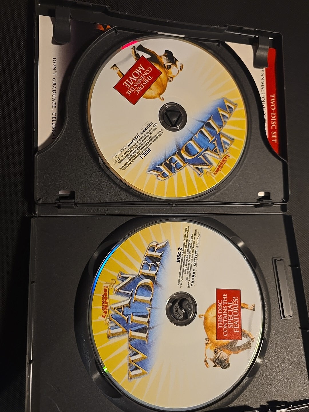 National Lampoon's Van Wilder (DVD, 2002)