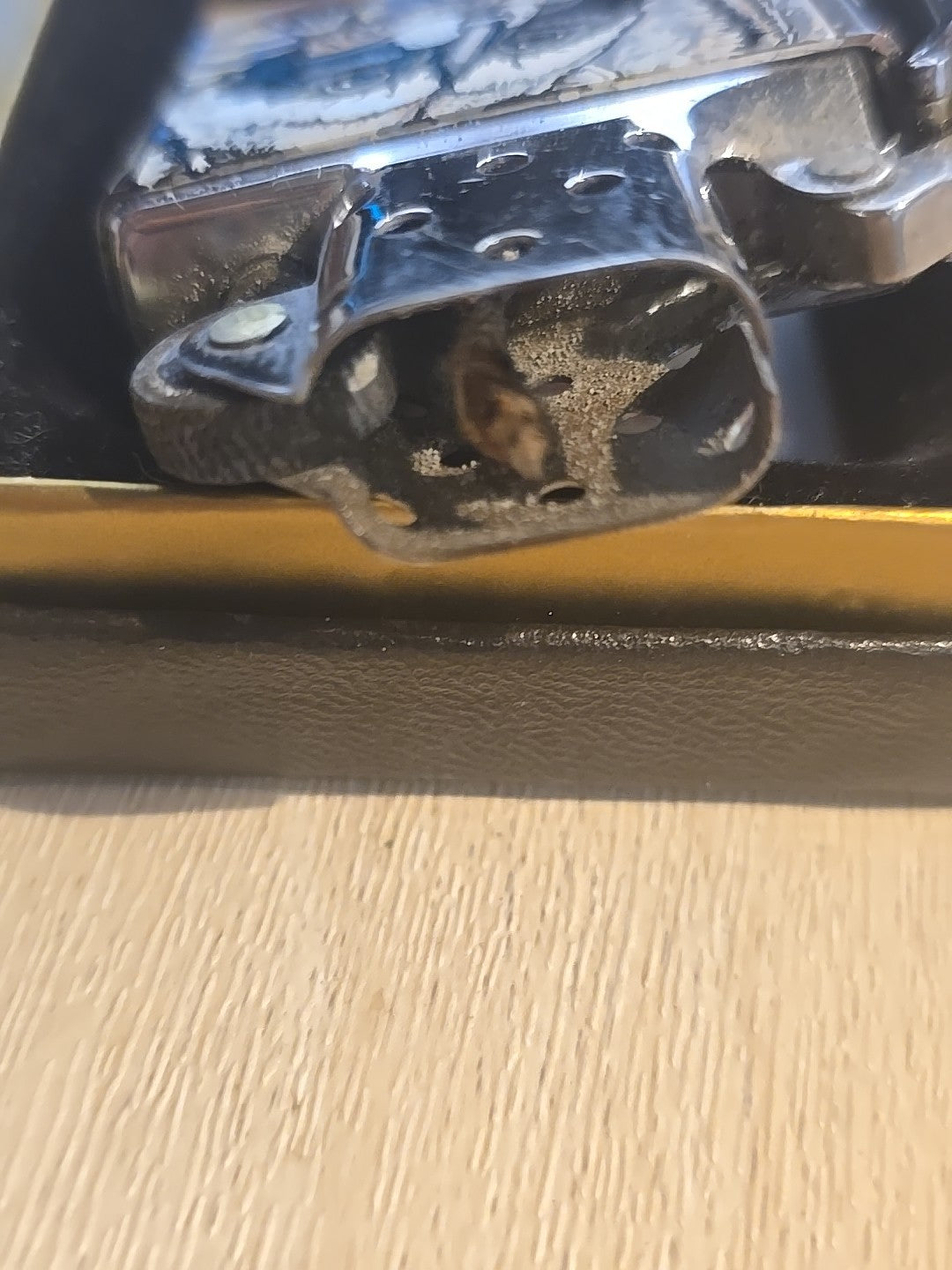 Zippo The Barret Smyth Collection Racoon