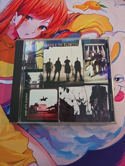 Cracked Rear View by Hootie & the Blowfish (CD, 1994)